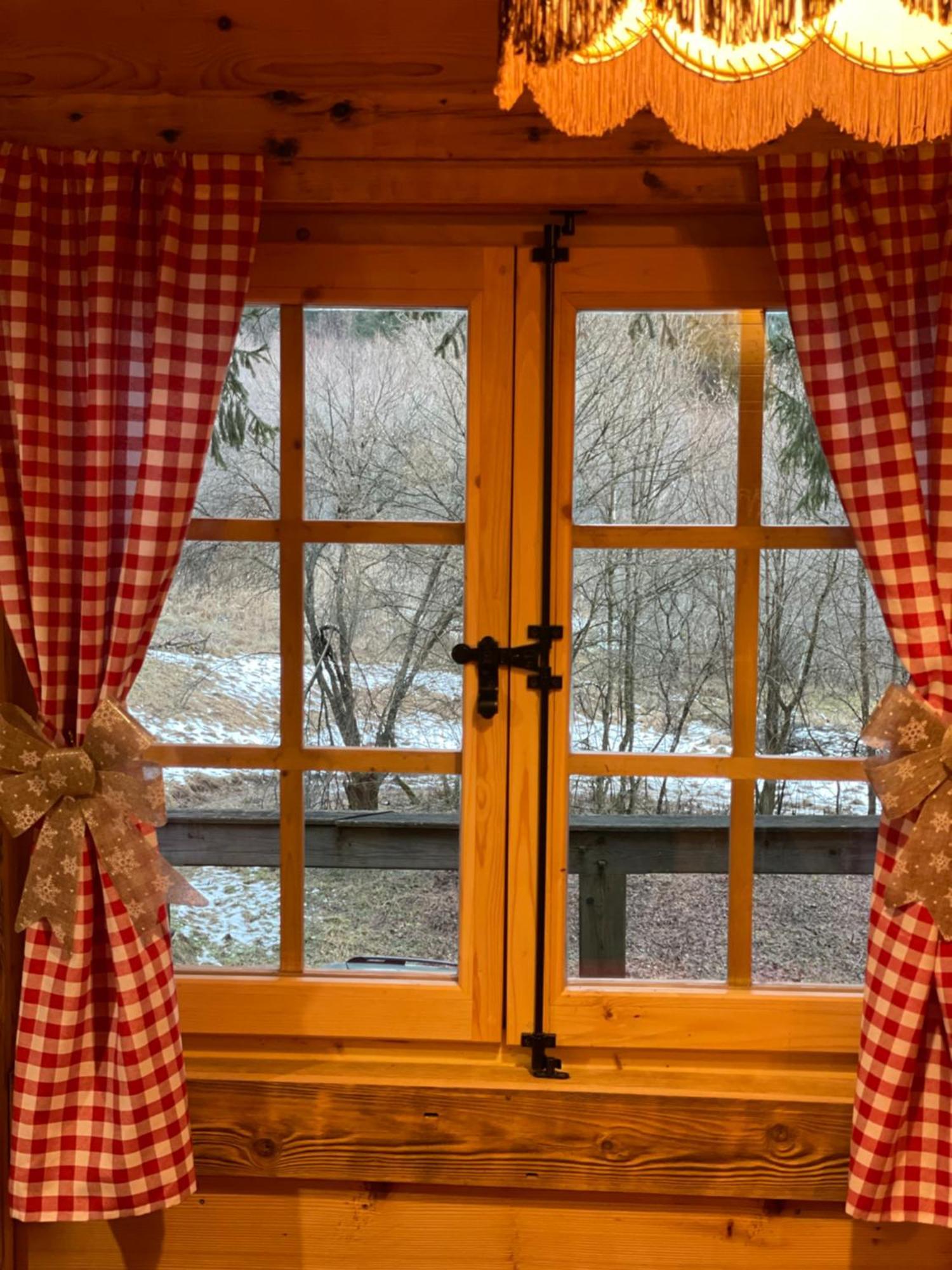 Cabana Craita Vişeu de Sus 外观 照片